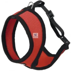 ARNES ACTIVE GATO con Correa 120 cm Arneses para Gatos
