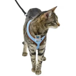 ARNES ACTIVE GATO con Correa 120 cm Arneses para Gatos