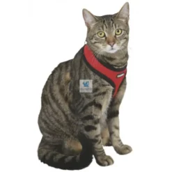 ARNES ACTIVE GATO con Correa 120 cm Arneses para Gatos