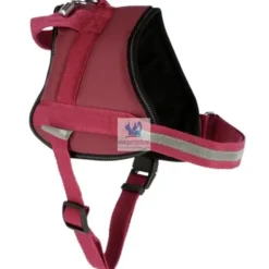 ARNES MAESTRO 2.0 Arnes para perro
