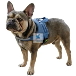 ARNES MAESTRO 2.0 Arnes para perro