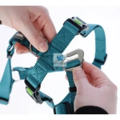 ARNES MIAMI ANTIPANICO 15 mm Arneses para Perros