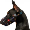 BOZAL NYLON WAUDOG DONUTS Bozales para Perros