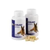 COLAID 90 Capsulas Complemento Gastrointestinal para perros