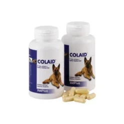 COLAID 90 Capsulas Complemento Gastrointestinal para perros