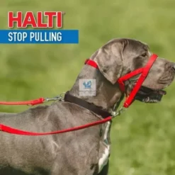 COLLAR HALTI HEAD NEGRO Collares para Perros