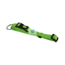 COLLAR PERRO REGULABLE MIAMI Collares para Perros