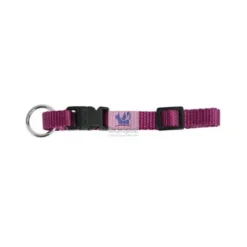 COLLAR PERRO REGULABLE MIAMI Collares para Perros