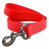 CORREA WAUDOG IMPERMEABLE Ancho 25 mm Correas para Perros