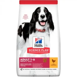 Hills Canine ADULT MEDIUM POLLO Pienso para perros