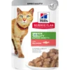Hills Feline ADULT YOUTHFUL VITALITY SALMON 12 x 85 g Comida para Gatos