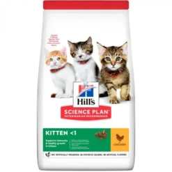 Hills Feline KITTEN POLLO Comida para gatos