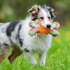 JUGUETE BONE WITH PLUSH Juguetes para Perros
