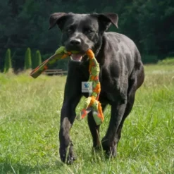 JUGUETE BRAID Juguetes para Perros