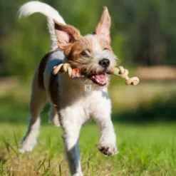JUGUETE CATCH DUMMY Juguetes para Perros