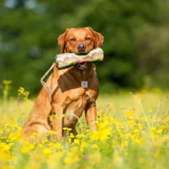 JUGUETE FOOD DUMMY Juguetes para Perros