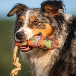 JUGUETE RASCAL Juguetes para Perros