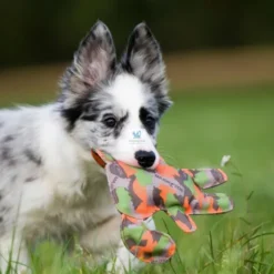 JUGUETE WALDI Varios Tamaños Juguetes para Perros