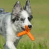 JUGUETE WHIRL PEQUEÑO Juguetes para Perros