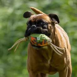 JUGUETE WILLY Juguetes para Perros