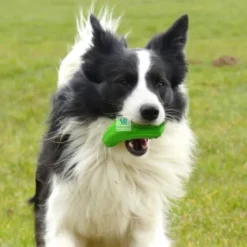 JUGUETE ZUCCHINI Juguetes para Perros