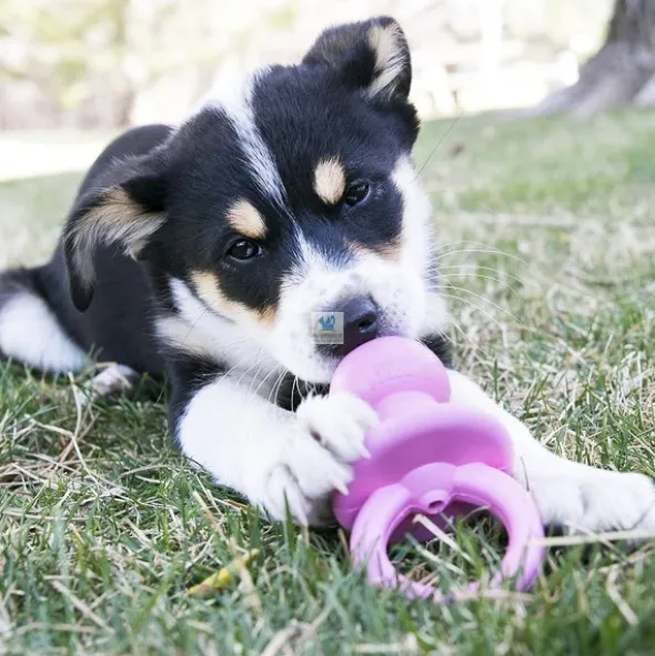 KONG PUPPY BINKIE Juguete para Perros