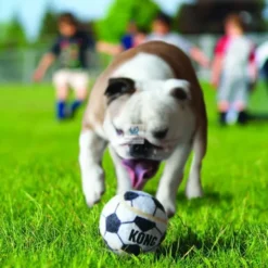 KONG SPORT BALLS 3 Unidades Juguetes para Perros