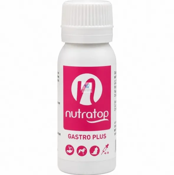 NUTRATOP GASTROPLUS 50 ml Protector gastrico para perros y gatos