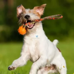 PELOTA SPEED SLING BALL Juguete para Perros