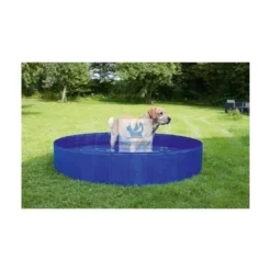 Piscina 120 cm Diametro 30 cm Altura Juegos de Perros
