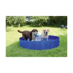 Piscina 160 cm Diametro 30 cm Altura Juegos de Perros