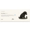 RESCARBON PRIME 2x60 ml Intoxicaciones en perros y gatos
