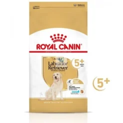 Royal Canin Adult Labrador Retriever 5+ Senior 12 Kg Pienso para Perros