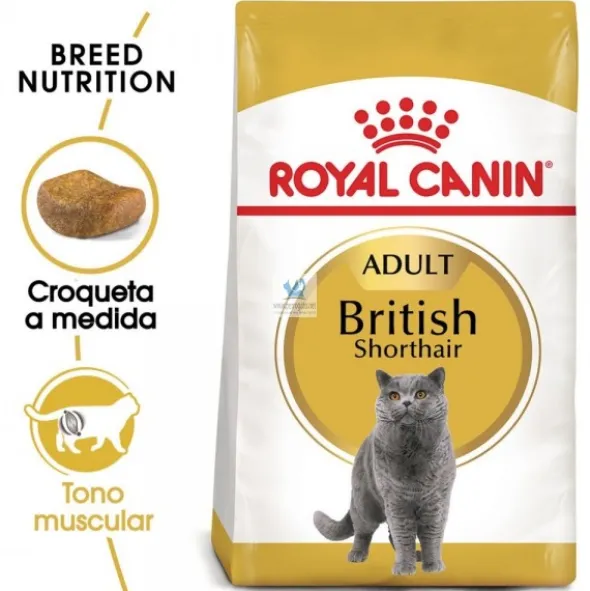 Royal Canin Feline Adult British Shorthair 10 Kg Comida para gatos