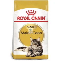 Royal Canin Feline Adult Maine Coon Comida para gatos