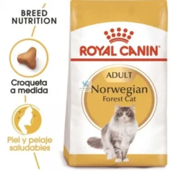Royal Canin Feline Adult Norwegian Forest 10 Kg Comida para gatos