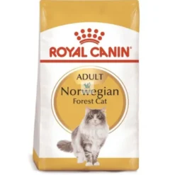 Royal Canin Feline Adult Norwegian Forest 10 Kg Comida para gatos