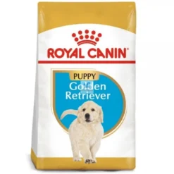Royal Canin Puppy Golden Retriever 12 Kg Pienso para Perros