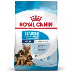 Royal Canin Puppy-Maxi Starter 15 Kg Cachorros y Madres Pienso para Perros