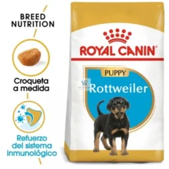 Royal Canin Puppy Rottweiler 12 Kg Pienso para Perros